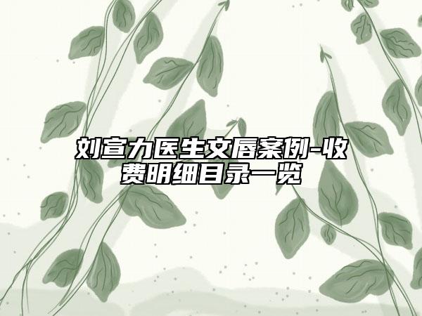 劉宣力醫(yī)生文唇案例-收費(fèi)明細(xì)目錄一覽
