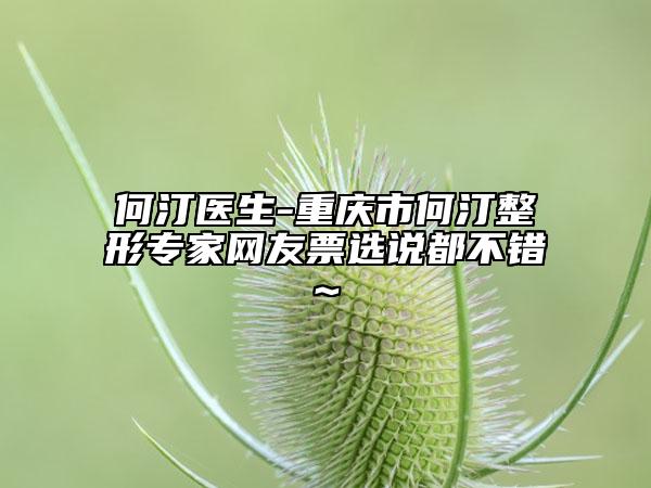 何汀醫(yī)生-重慶市何汀整形專家網(wǎng)友票選說都不錯~