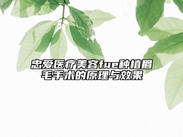 忠愛醫(yī)療美容fue種植眉毛手術(shù)的原理與效果