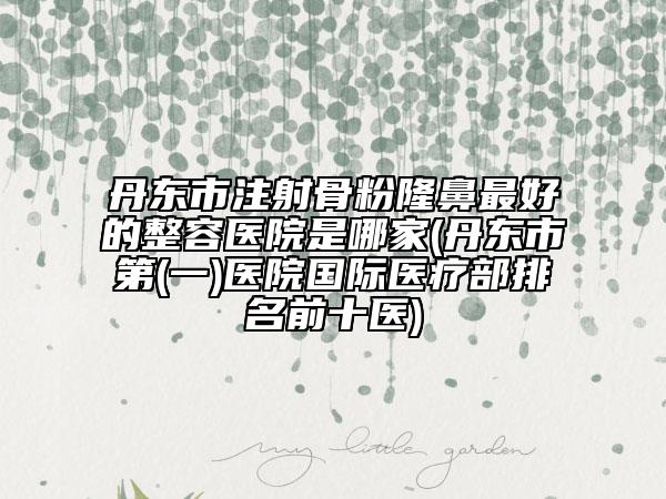 丹東市注射骨粉隆鼻最好的整容醫(yī)院是哪家(丹東市第(一)醫(yī)院國(guó)際醫(yī)療部排名前十醫(yī))