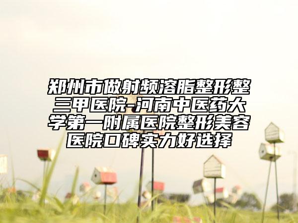 鄭州市做射頻溶脂整形整三甲醫(yī)院-河南中醫(yī)藥大學(xué)第一附屬醫(yī)院整形美容醫(yī)院口碑實力好選擇