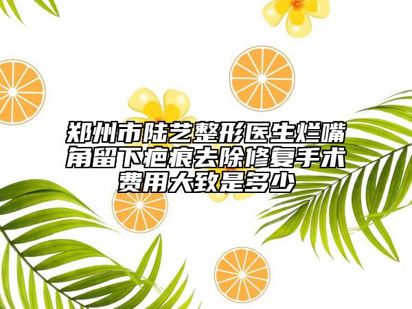 鄭州市陸藝整形醫(yī)生爛嘴角留下疤痕去除修復(fù)手術(shù)費(fèi)用大致是多少