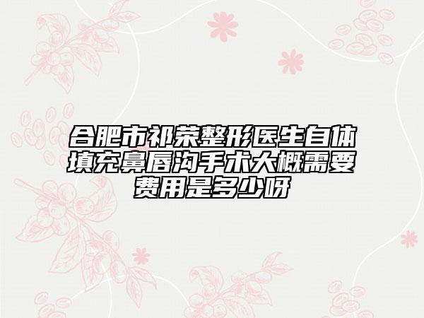 合肥市祁榮整形醫(yī)生自體填充鼻唇溝手術(shù)大概需要費(fèi)用是多少呀