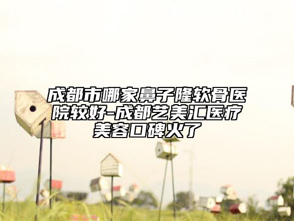 成都市哪家鼻子隆軟骨醫(yī)院較好-成都藝美匯醫(yī)療美容口碑火了