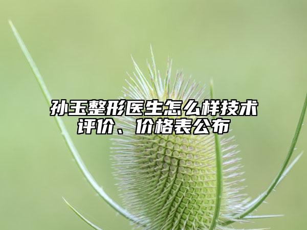 孫玉整形醫(yī)生怎么樣技術評價、價格表公布