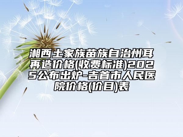 湘西土家族苗族自治州耳再造價格(收費標準)2025公布出爐-吉首市人民醫(yī)院價格(價目)表