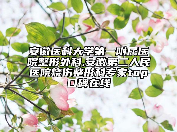安徽醫(yī)科大學(xué)第一附屬醫(yī)院整形外科,安徽第二人民醫(yī)院燒傷整形科專家top口碑在線