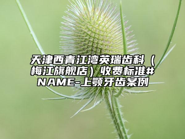 天津西青江灣英瑞齒科（梅江旗艦店）收費標(biāo)準(zhǔn)#NAME-上顎牙齒案例