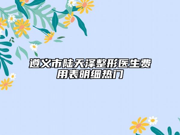 遵義市陸天澤整形醫(yī)生費用表明細熱門