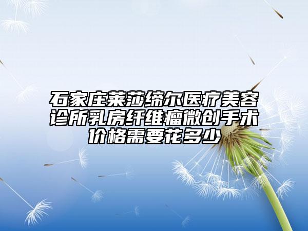 石家莊萊莎締爾醫(yī)療美容診所乳房纖維瘤微創(chuàng)手術(shù)價(jià)格需要花多少