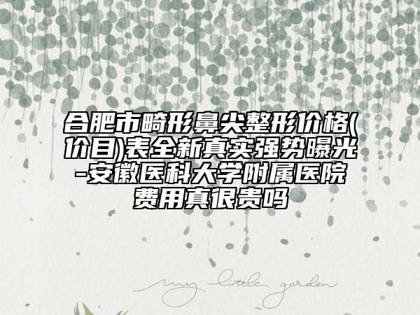 合肥市畸形鼻尖整形價(jià)格(價(jià)目)表全新真實(shí)強(qiáng)勢(shì)曝光-安徽醫(yī)科大學(xué)附屬醫(yī)院費(fèi)用真很貴嗎