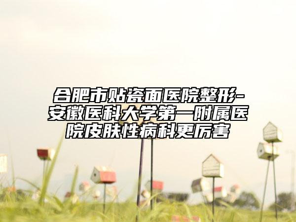 合肥市貼瓷面醫(yī)院整形-安徽醫(yī)科大學(xué)第一附屬醫(yī)院皮膚性病科更厲害