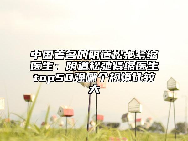 中國著名的陰道松弛緊縮醫(yī)生：陰道松弛緊縮醫(yī)生top50強(qiáng)哪個(gè)規(guī)模比較大