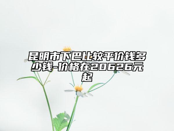 昆明市下巴比較平價錢多少錢-價格在20626元起