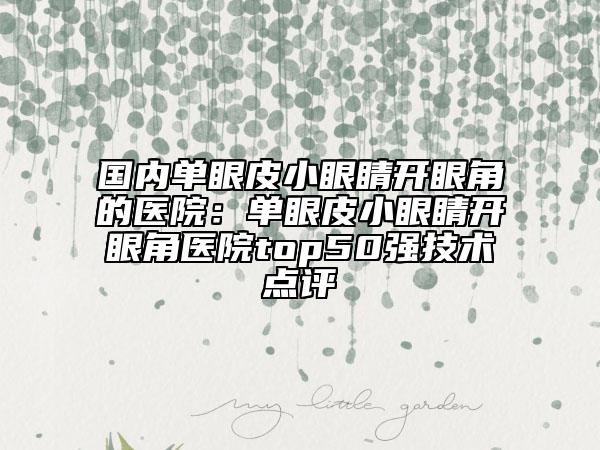 國(guó)內(nèi)單眼皮小眼睛開(kāi)眼角的醫(yī)院：?jiǎn)窝燮ば⊙劬﹂_(kāi)眼角醫(yī)院top50強(qiáng)技術(shù)點(diǎn)評(píng)