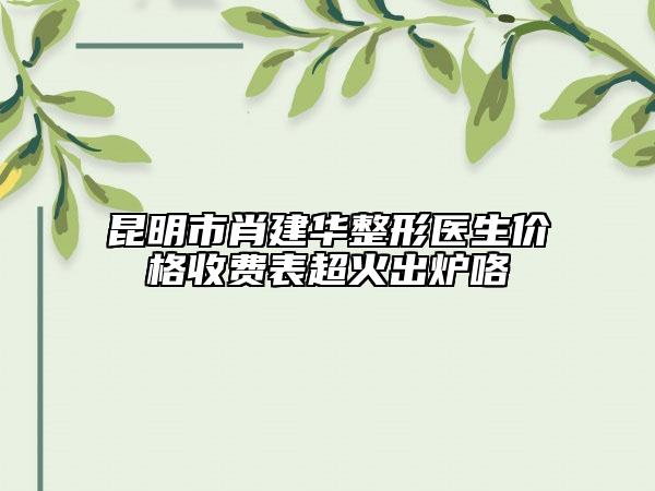 昆明市肖建華整形醫(yī)生價(jià)格收費(fèi)表超火出爐咯