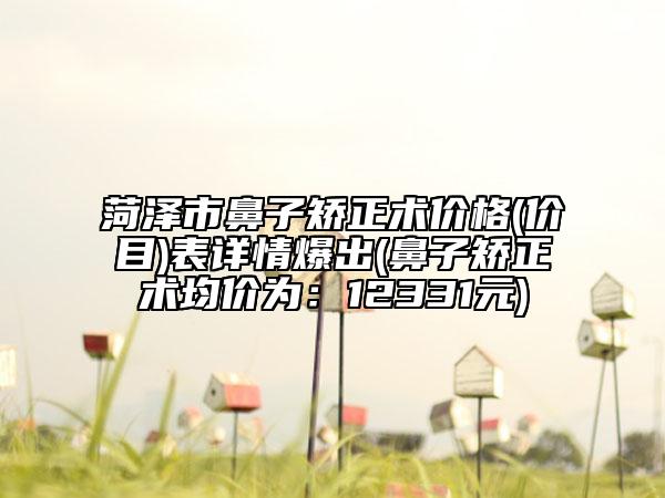 菏澤市鼻子矯正術價格(價目)表詳情爆出(鼻子矯正術均價為：12331元)
