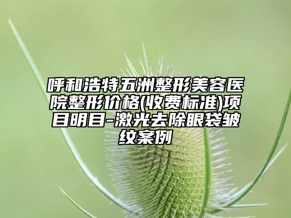 呼和浩特五洲整形美容醫(yī)院整形價格(收費標(biāo)準(zhǔn))項目明目-激光去除眼袋皺紋案例