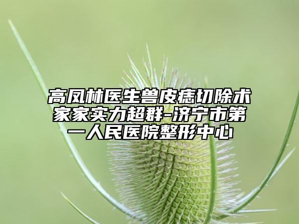 高鳳林醫(yī)生獸皮痣切除術(shù)家家實(shí)力超群-濟(jì)寧市第一人民醫(yī)院整形中心