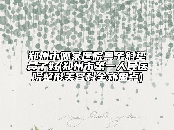 鄭州市哪家醫(yī)院鼻子斜墊鼻子好(鄭州市第一人民醫(yī)院整形美容科全新盤點)