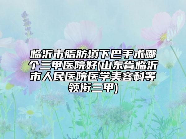 臨沂市脂肪填下巴手術哪個三甲醫(yī)院好(山東省臨沂市人民醫(yī)院醫(yī)學美容科等領銜三甲)