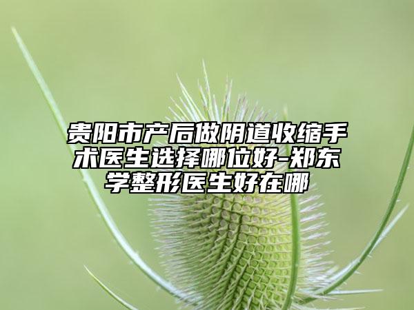 貴陽(yáng)市產(chǎn)后做陰道收縮手術(shù)醫(yī)生選擇哪位好-鄭東學(xué)整形醫(yī)生好在哪