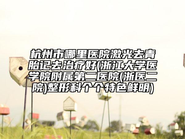 杭州市哪里醫(yī)院激光去青胎記去治療好(浙江大學(xué)醫(yī)學(xué)院附屬第二醫(yī)院(浙醫(yī)二院)整形科個(gè)個(gè)特色鮮明)