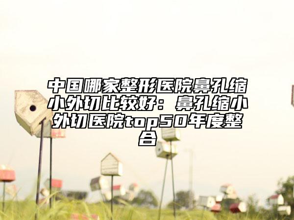 中國哪家整形醫(yī)院鼻孔縮小外切比較好：鼻孔縮小外切醫(yī)院top50年度整合