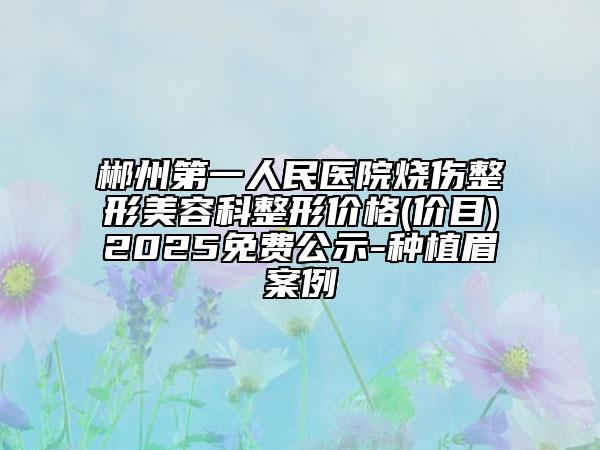 郴州第一人民醫(yī)院燒傷整形美容科整形價(jià)格(價(jià)目)2025免費(fèi)公示-種植眉案例