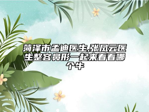 菏澤市孟迪醫(yī)生,張鳳云醫(yī)生整容鼻形一起來看看哪個牛