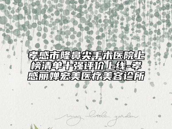 孝感市隆鼻尖手術(shù)醫(yī)院上榜清單十強評價上線-孝感麗嬋宏美醫(yī)療美容診所