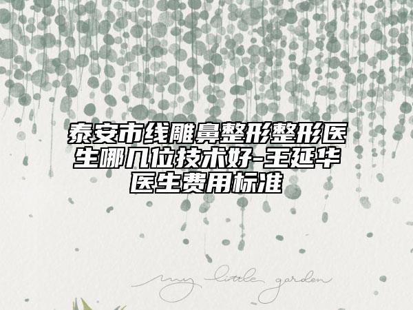 泰安市線雕鼻整形整形醫(yī)生哪幾位技術(shù)好-王延華醫(yī)生費用標準