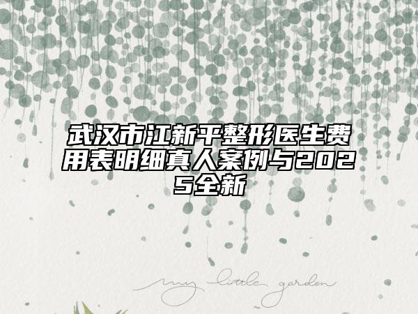 武漢市江新平整形醫(yī)生費(fèi)用表明細(xì)真人案例與2025全新