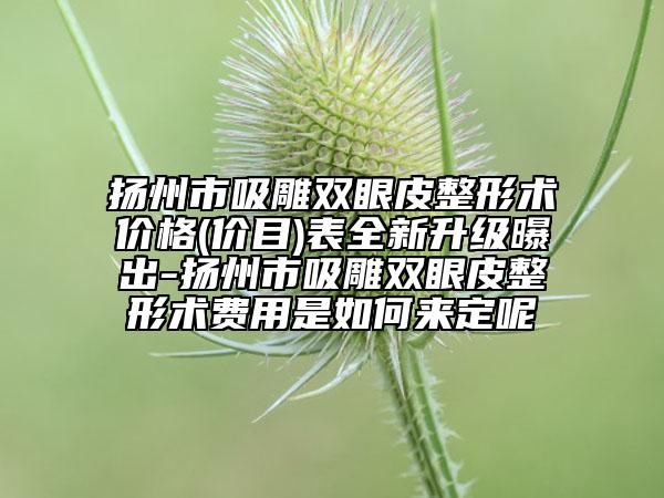 揚(yáng)州市吸雕雙眼皮整形術(shù)價(jià)格(價(jià)目)表全新升級(jí)曝出-揚(yáng)州市吸雕雙眼皮整形術(shù)費(fèi)用是如何來(lái)定呢
