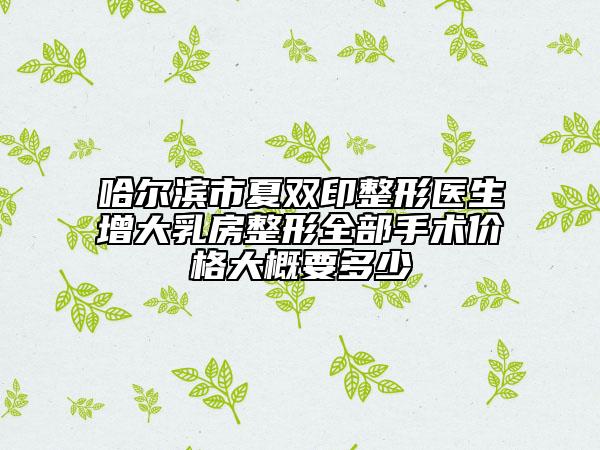 哈爾濱市夏雙印整形醫(yī)生增大乳房整形全部手術(shù)價格大概要多少