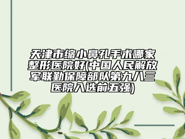 天津市縮小鼻孔手術(shù)哪家整形醫(yī)院好(中國人民解放軍聯(lián)勤保障部隊第九八三醫(yī)院入選前五強(qiáng))