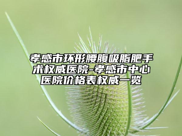 孝感市環(huán)形腰腹吸脂肥手術(shù)權(quán)威醫(yī)院-孝感市中心醫(yī)院價格表權(quán)威一覽