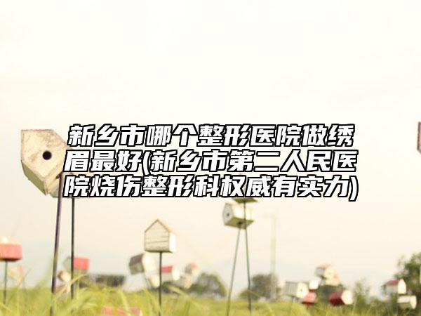 新鄉(xiāng)市哪個整形醫(yī)院做繡眉最好(新鄉(xiāng)市第二人民醫(yī)院燒傷整形科權(quán)威有實力)
