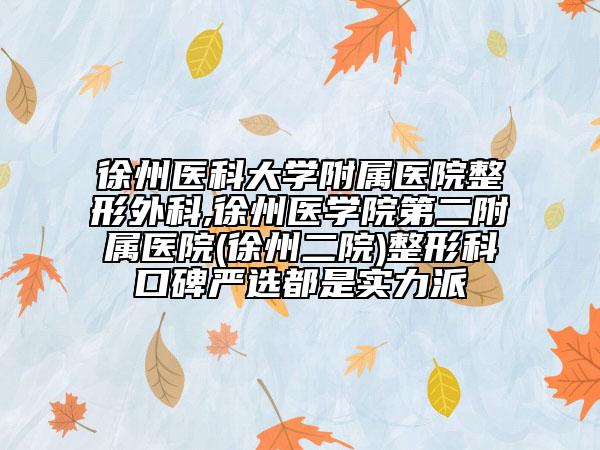 徐州醫(yī)科大學附屬醫(yī)院整形外科,徐州醫(yī)學院第二附屬醫(yī)院(徐州二院)整形科口碑嚴選都是實力派