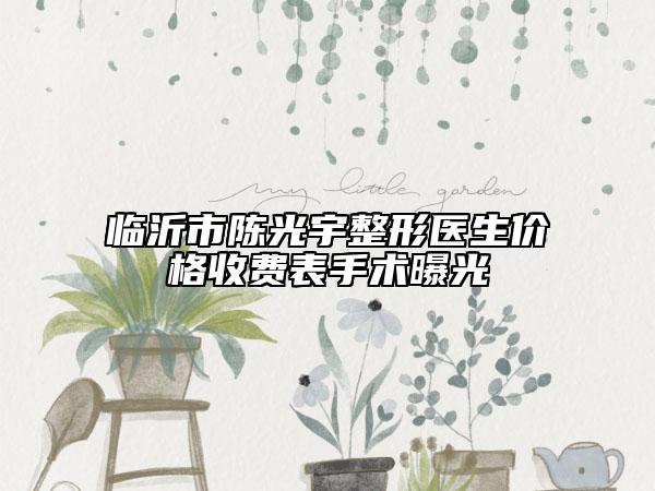 臨沂市陳光宇整形醫(yī)生價格收費表手術曝光