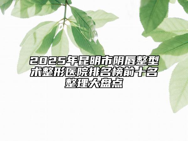 2025年昆明市陰唇整型術(shù)整形醫(yī)院排名榜前十名整理大盤點
