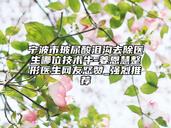 寧波市玻尿酸淚溝去除醫(yī)生哪位技術(shù)牛-姜恩慧整形醫(yī)生網(wǎng)友怒贊_強烈推薦