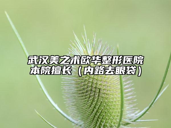 武漢美之術(shù)歐華整形醫(yī)院本院擅長(zhǎng)（內(nèi)路去眼袋）