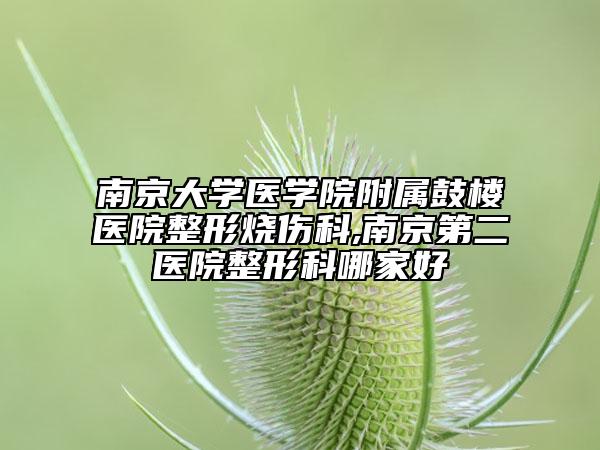 南京大學(xué)醫(yī)學(xué)院附屬鼓樓醫(yī)院整形燒傷科,南京第二醫(yī)院整形科哪家好