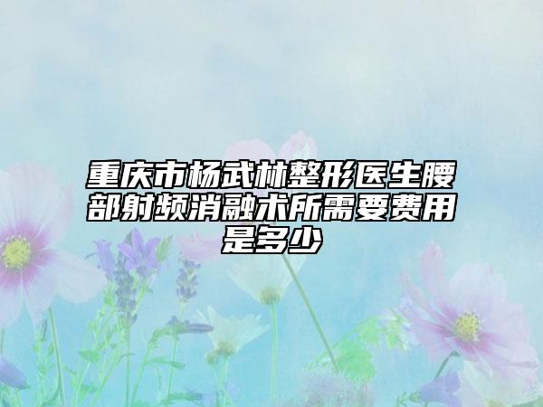 重慶市楊武林整形醫(yī)生腰部射頻消融術所需要費用是多少
