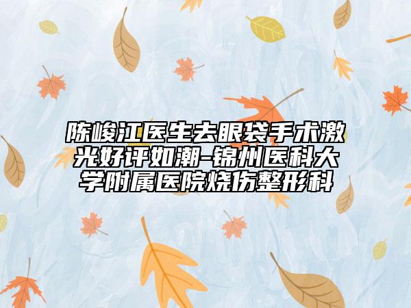 陳峻江醫(yī)生去眼袋手術激光好評如潮-錦州醫(yī)科大學附屬醫(yī)院燒傷整形科