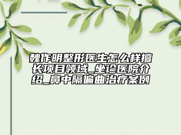 魏作明整形醫(yī)生怎么樣擅長(zhǎng)項(xiàng)目領(lǐng)域_坐診醫(yī)院介紹_鼻中隔偏曲治療案例