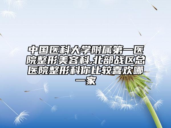 中國醫(yī)科大學附屬第一醫(yī)院整形美容科,北部戰(zhàn)區(qū)總醫(yī)院整形科你比較喜歡哪一家