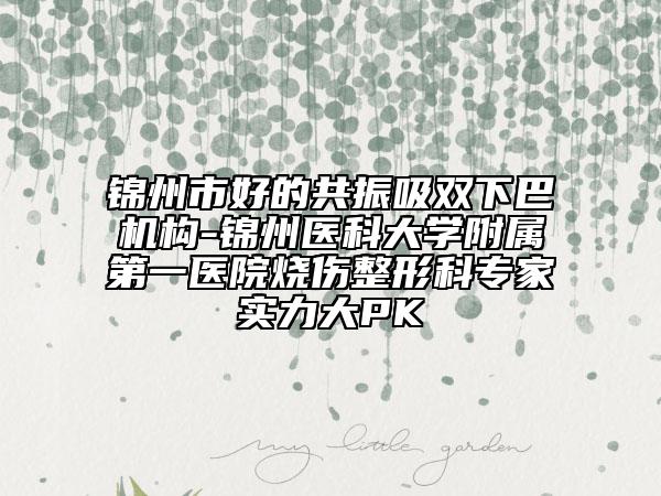 錦州市好的共振吸雙下巴機構(gòu)-錦州醫(yī)科大學(xué)附屬第一醫(yī)院燒傷整形科專家實力大PK