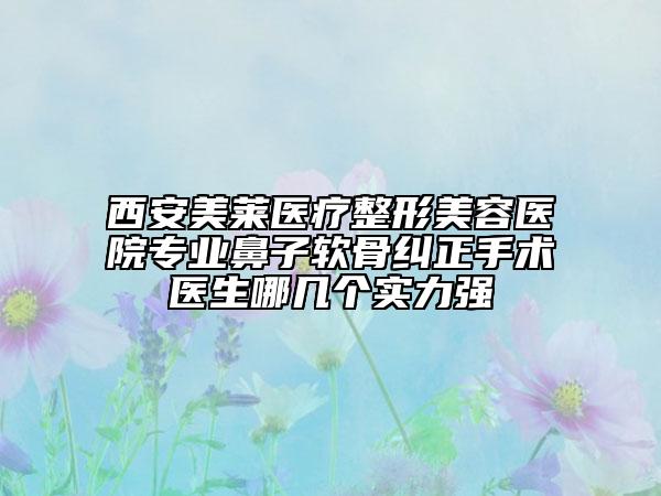 西安美萊醫(yī)療整形美容醫(yī)院專(zhuān)業(yè)鼻子軟骨糾正手術(shù)醫(yī)生哪幾個(gè)實(shí)力強(qiáng)